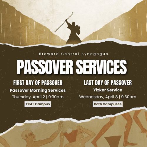 Temple Beth Orr Sisterhood